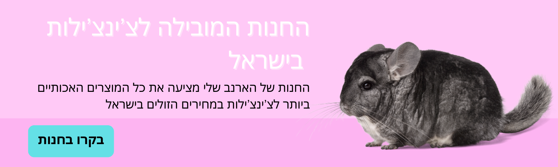 דף לובי חנות לצ'ינצ'ילות