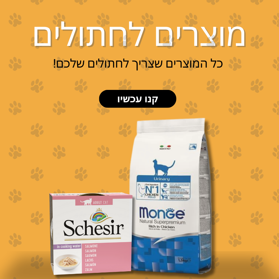 מוצרים לחתולים
