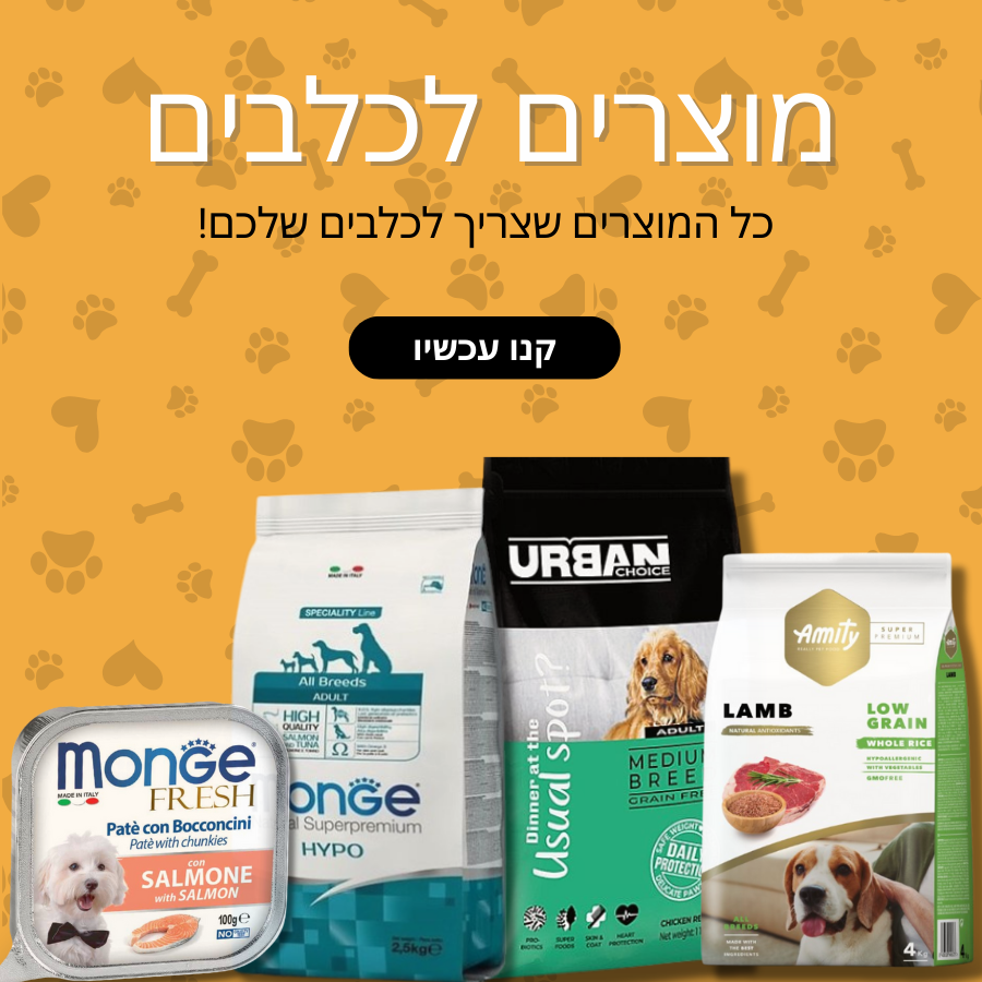 מוצרים לכלבים